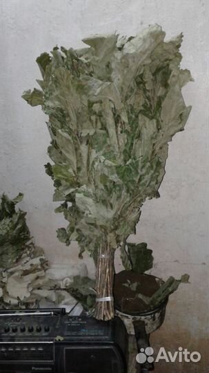 Веники для баньки