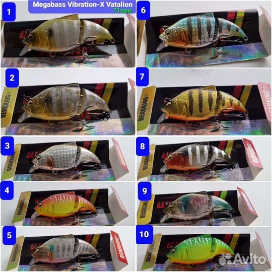 Bearking, Imakatsu, Megabass,Jackall, DUO