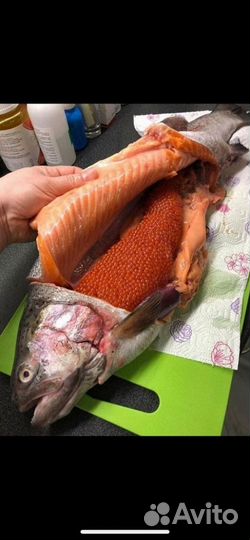 Форель свежая опт