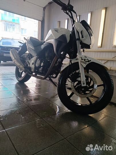 Stels flex 250
