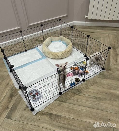 Вольер клетка для собак