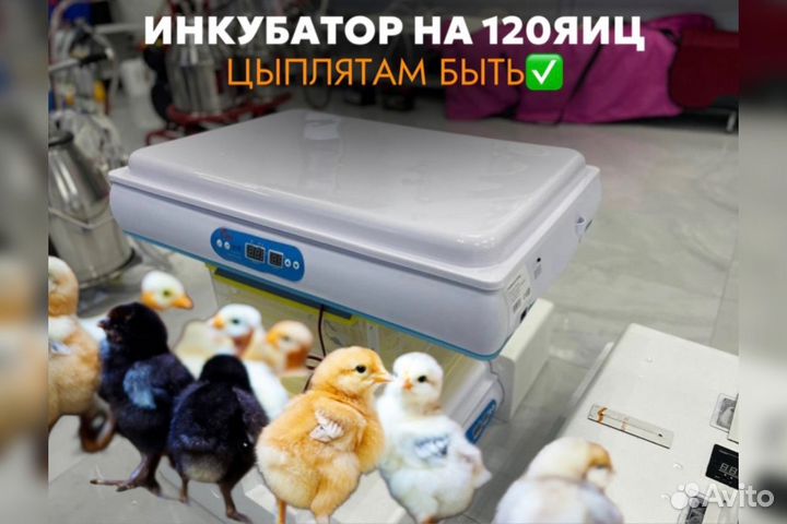 Инкубатор на 120 яиц