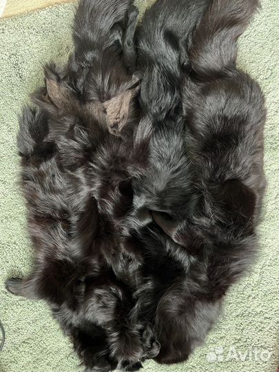 Шкурка норки