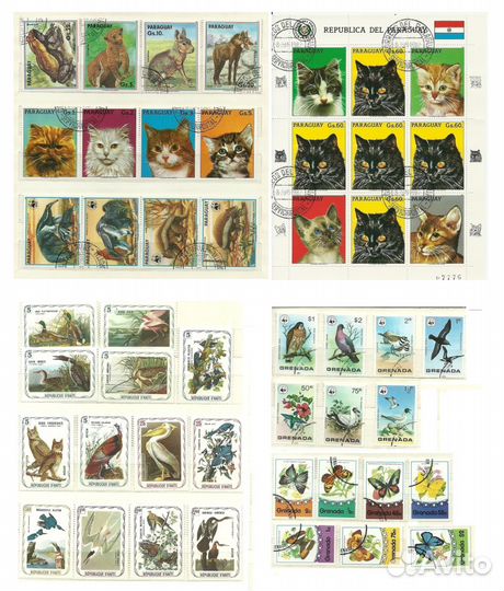 Фауна и флора. Америка Латинская 238шт + 1бл