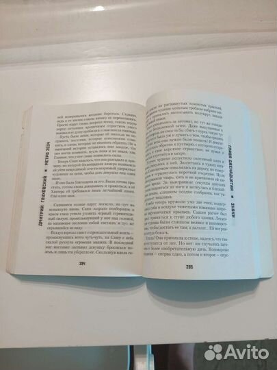 Книга метро 2034