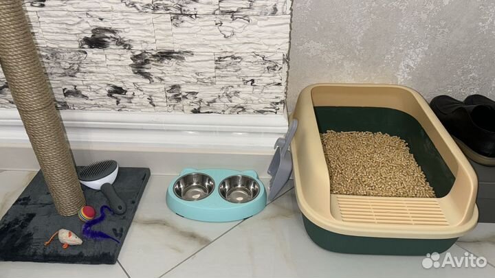 Когтеточка,наполнитель,лоток и игрушки