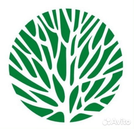 Медицинская сестра (стоматология)