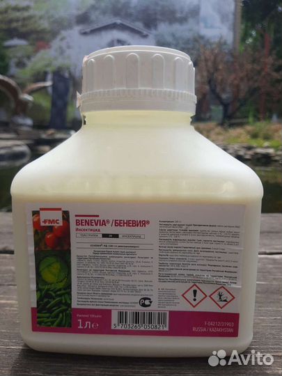 Беневия, Эксирель