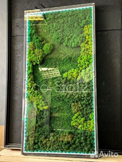 Панно из мха с подсветкой со стеклом