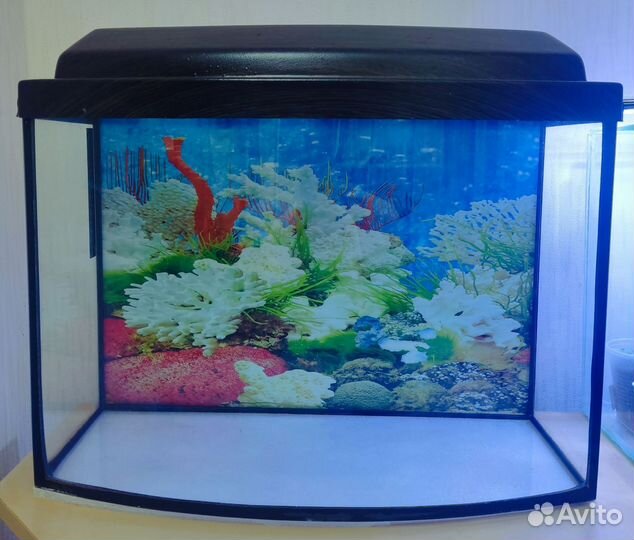 Аквариум