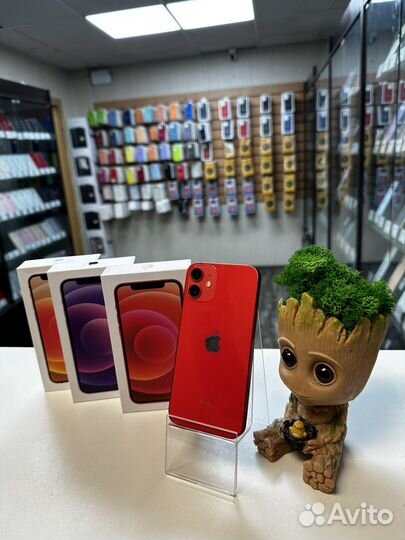 iPhone 12 mini, 256 ГБ