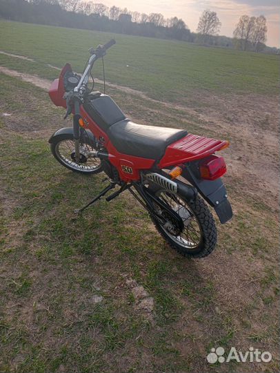 Зид пилот 50