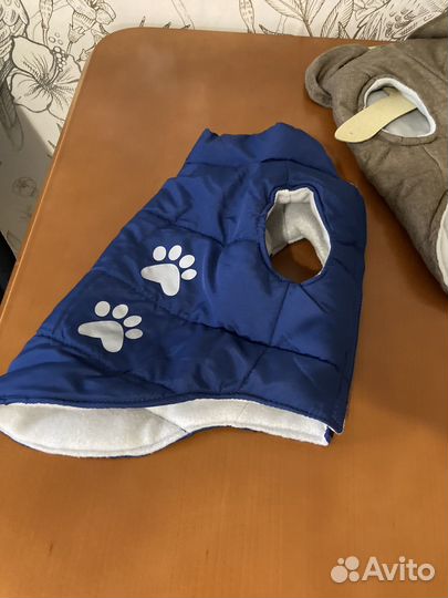 Одежда для собак мелких пород