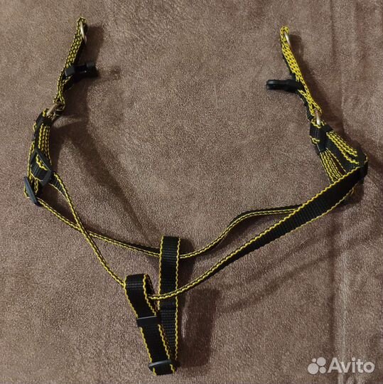 Шлейка, ошейник, поводок