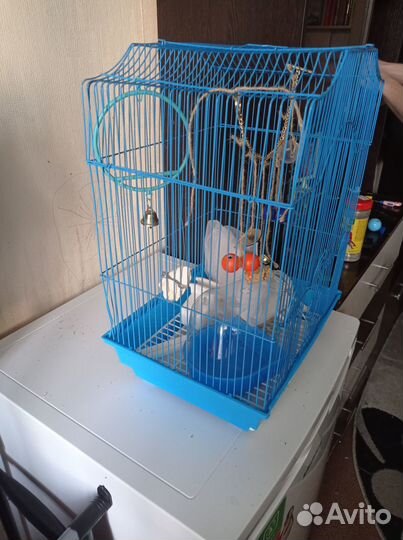 Продам клетку для попугая