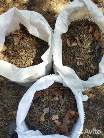 Хвойный опад, верховой торф, шишки