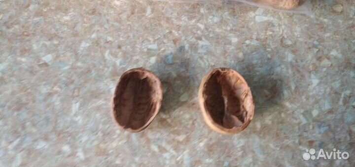 Грецкий орех(скорлупа)