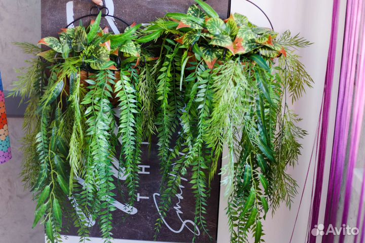 Искусственная зелень, самшиты