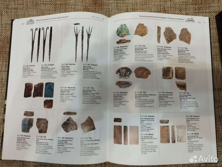 Книга Музей Археологического дерева