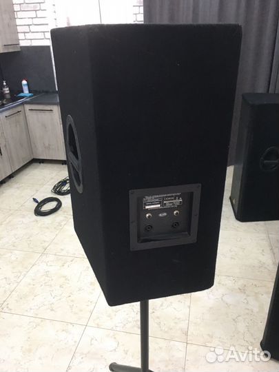 Концертные колонки