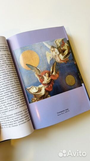 Священная Библейская история Пушкарь