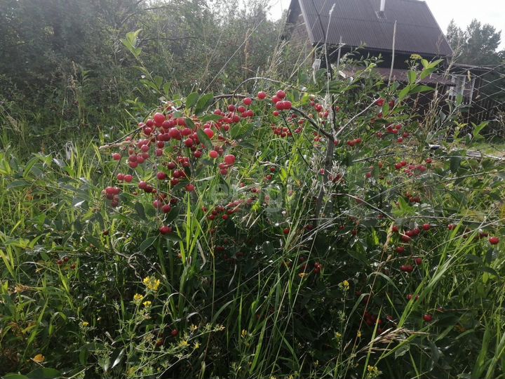 Участок 9,3 сот. (ИЖС)