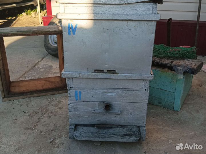 Пчелиные улья