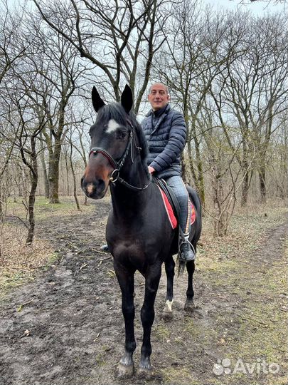 Конные прогулки