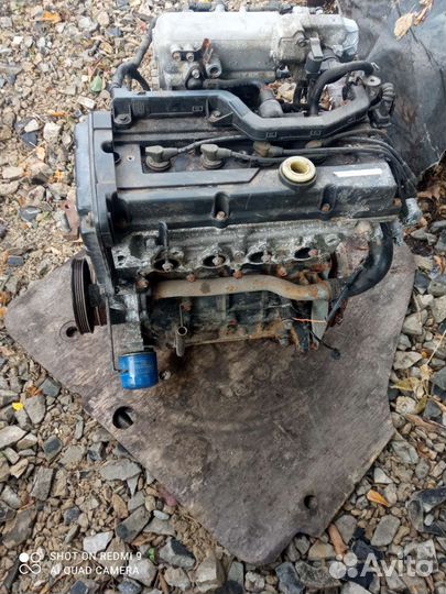 Двигатель киа Рио 2