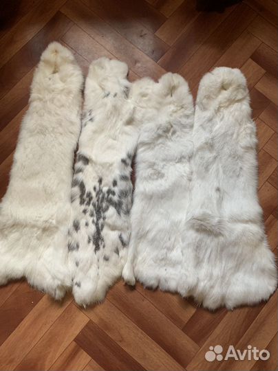 Шкурка животного