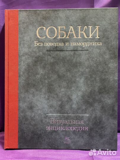 Тамсин Пикерел: Собаки. Без поводка и намордника