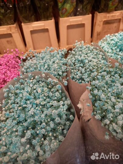 Гипсофила букет гипсофилы на 14 февраля доставка