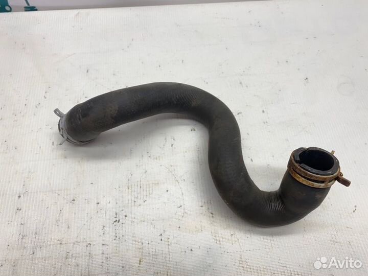 Патрубок радиатора нижний Ford Focus 2 shda 2011