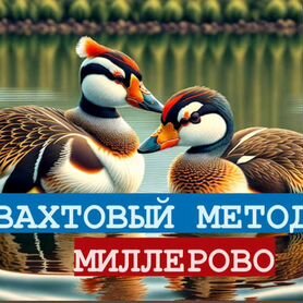 Грузчик на вахту все включено в Миллерово