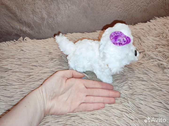 Ходячая собачка