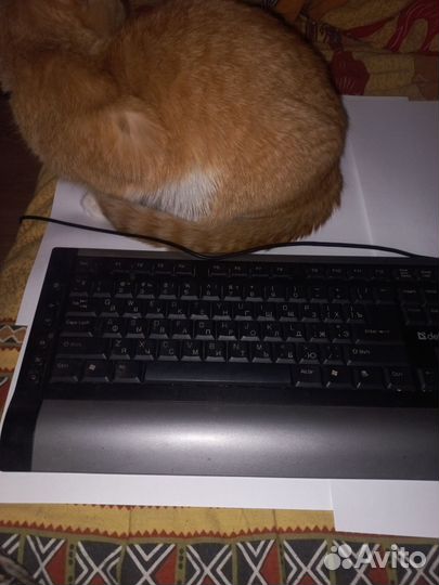 Механическая клавиатура