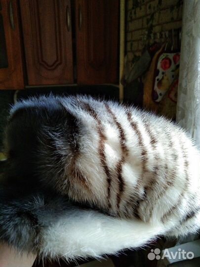 Большой выбор шапок