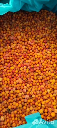 Облепиха ягода замороженная