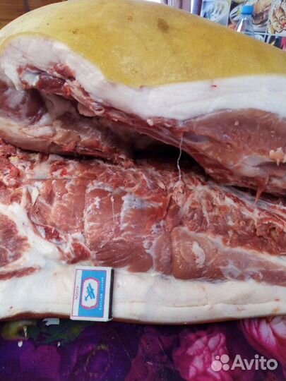 Мясо свинина опт