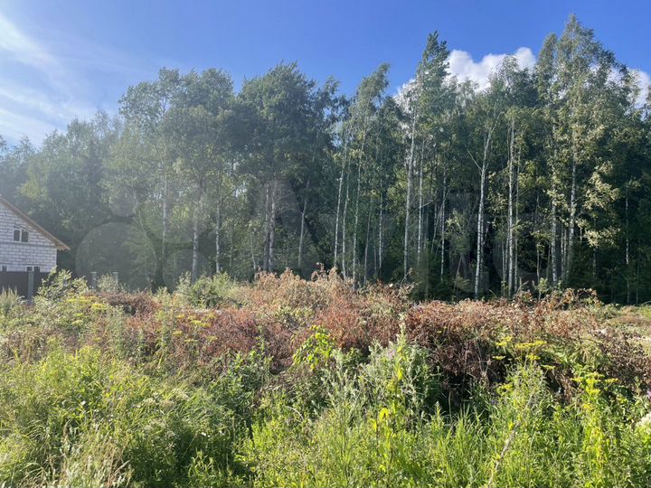 Участок 25 сот. (ИЖС)