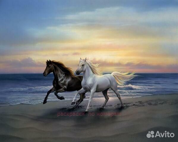 Алмазная мозаика 40x50 Черный конь и белая лошадка