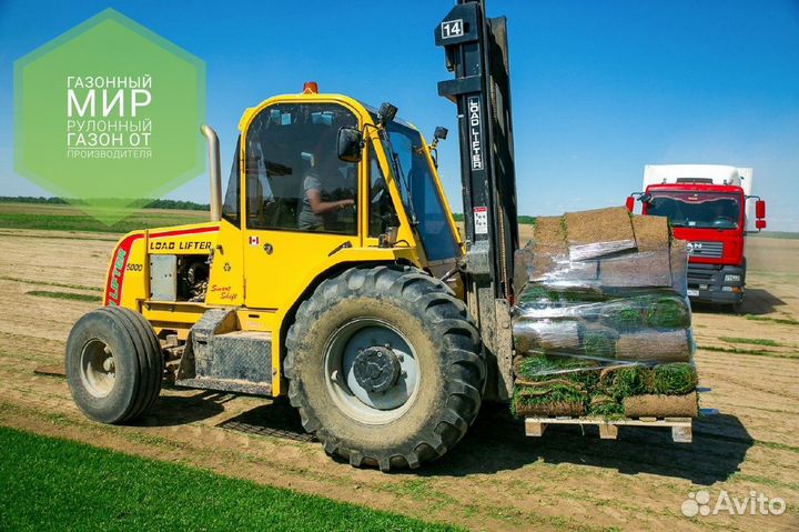 Рулонный газон