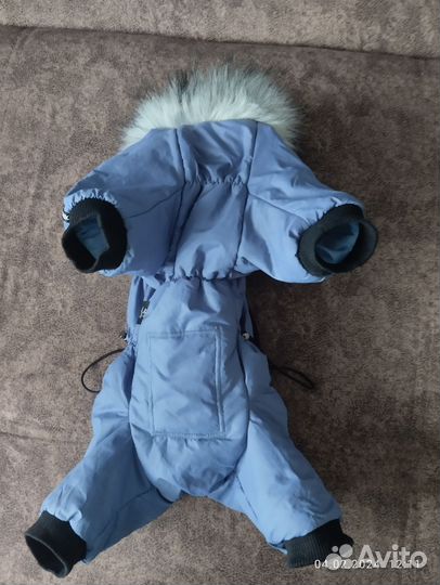 Одежда для маленьких собак