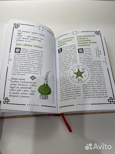 Книга теней. Викка