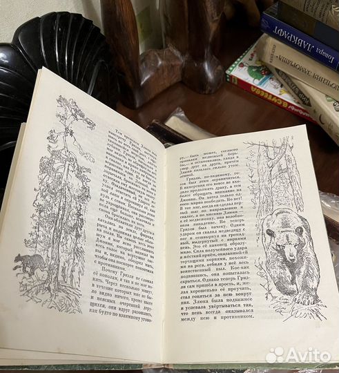 Сетон-Томпсон Э. Чинк и другие рассказы