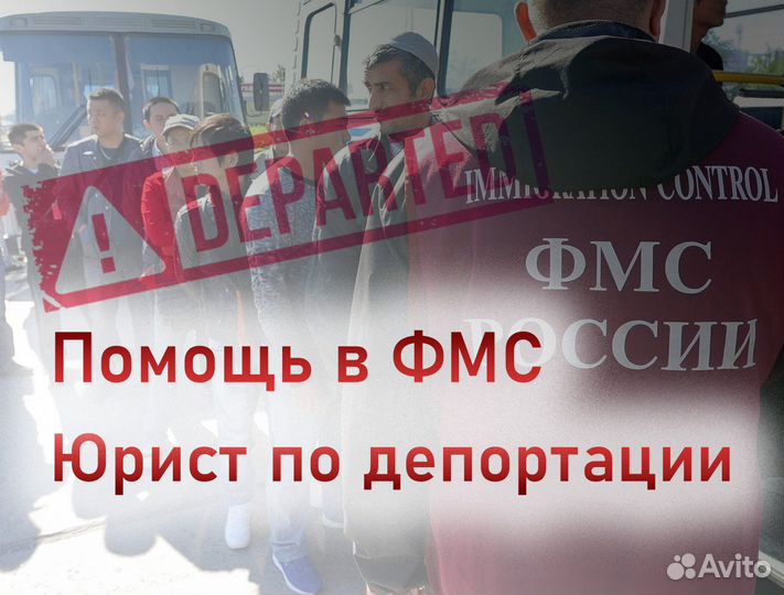 Миграционный юрист для организаций, помощь в суде