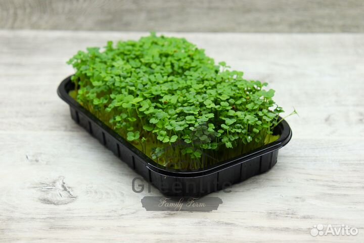 Микрозелень