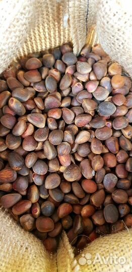 Кедровый орех неочищенный крупный калиброванный
