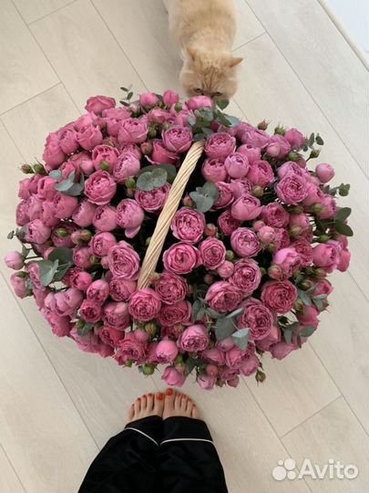 Пионовидная роза. Доставка