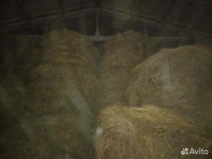 Продам сено в тюках
